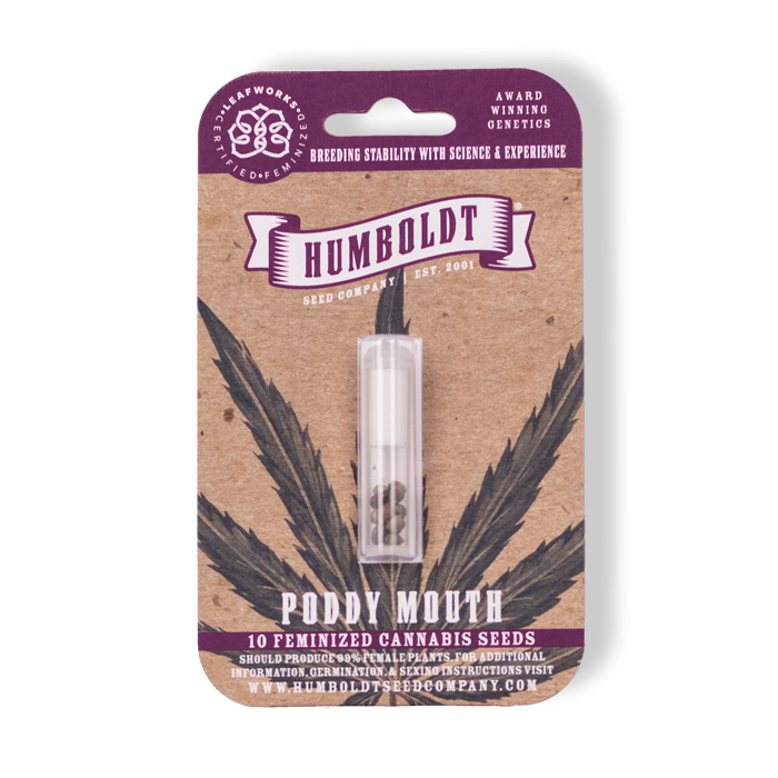 Poddy Mouth Feminized Seeds in pack