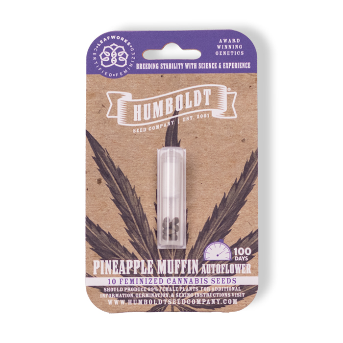 Pineapple Muffin Autoflower Seed Pack