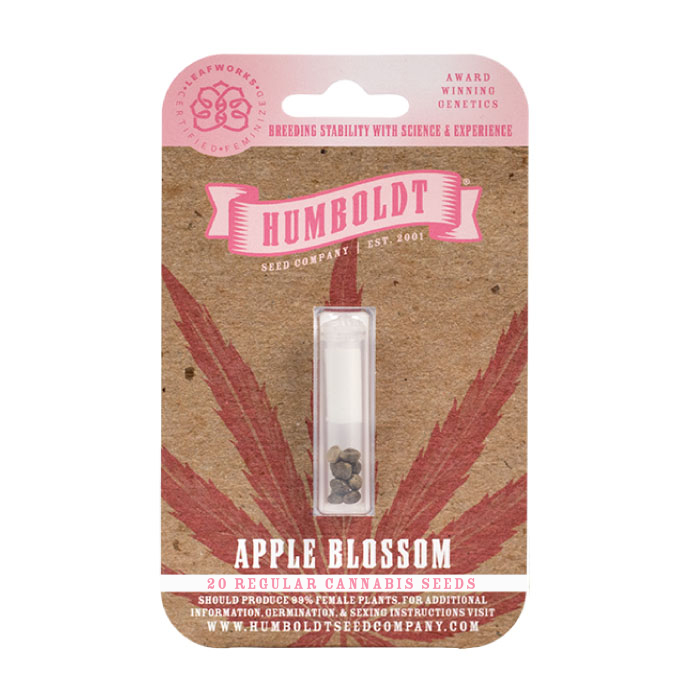 Apple Blossom Regular cannabis seeds in pack