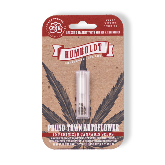 Pound Town Autoflower cannabis seeds pack