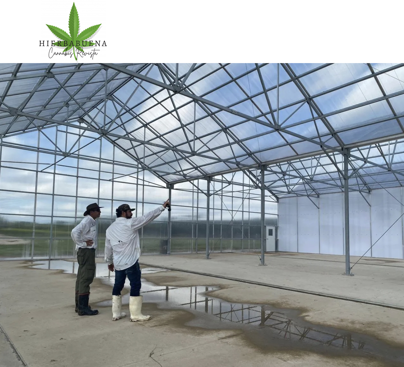 men standing in empty cannabis greenhouse