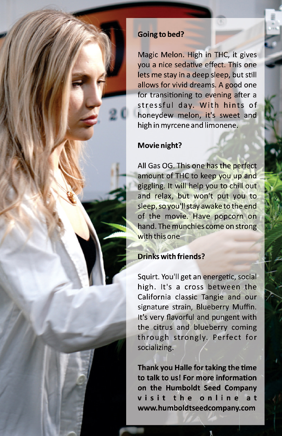 woman looking at cannabis plants