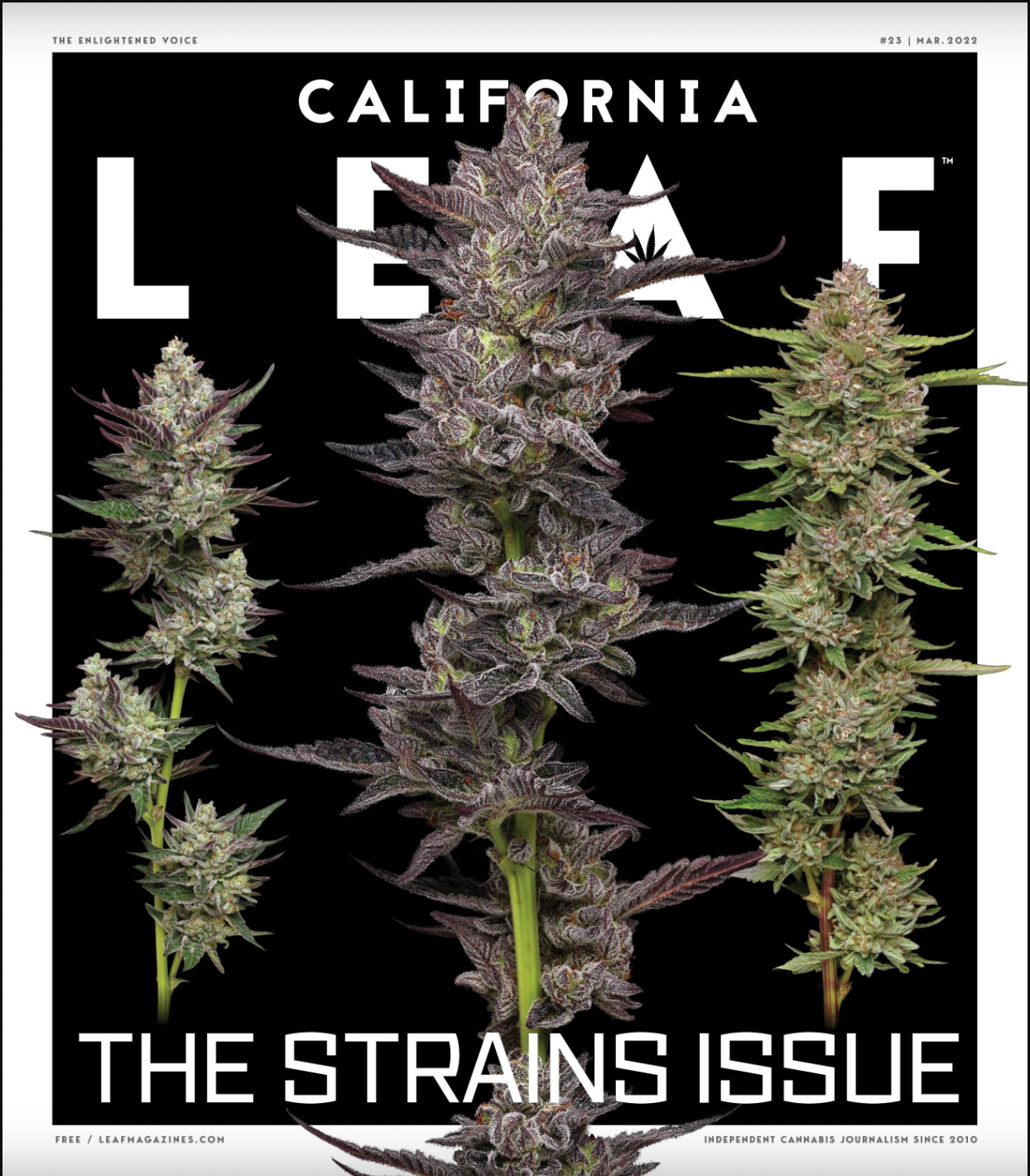 california-leaf-cover