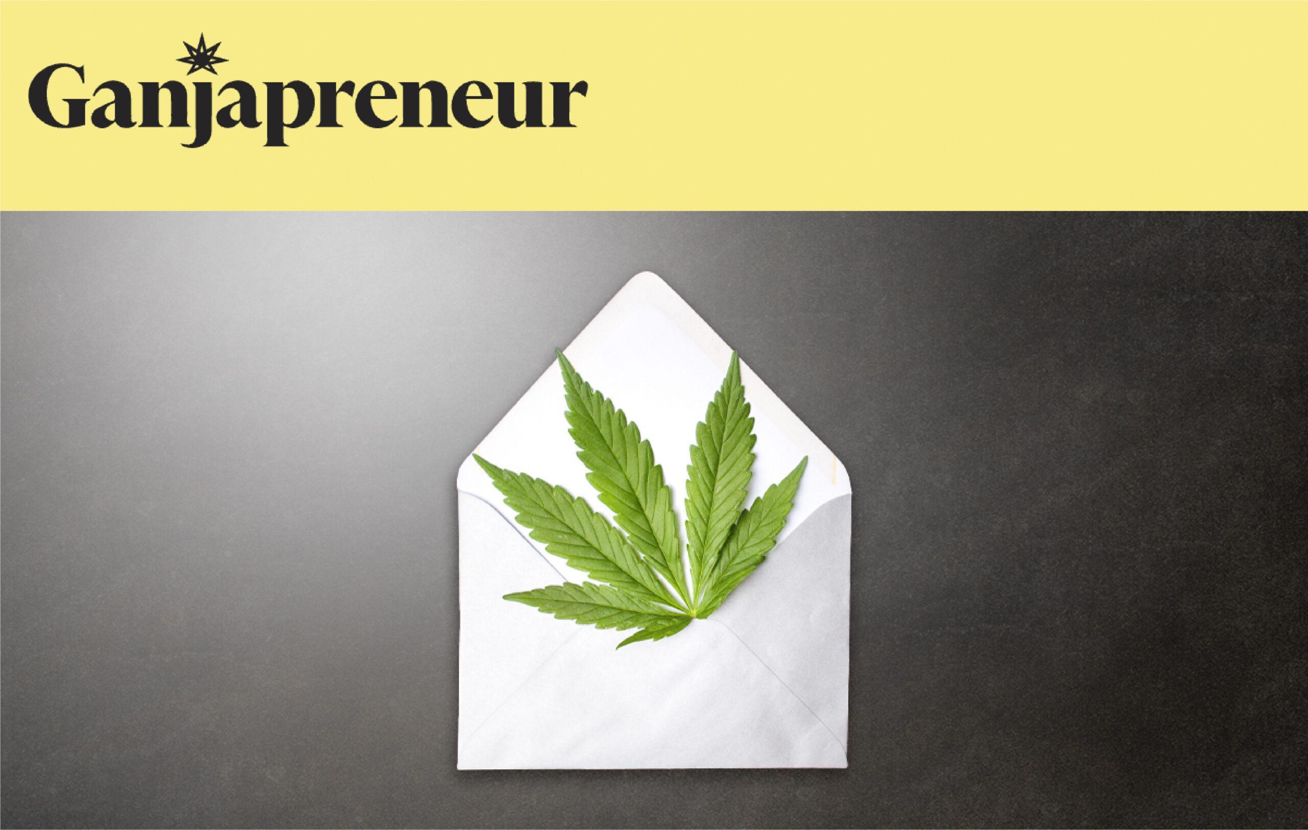 cannabis leaf in white envelope