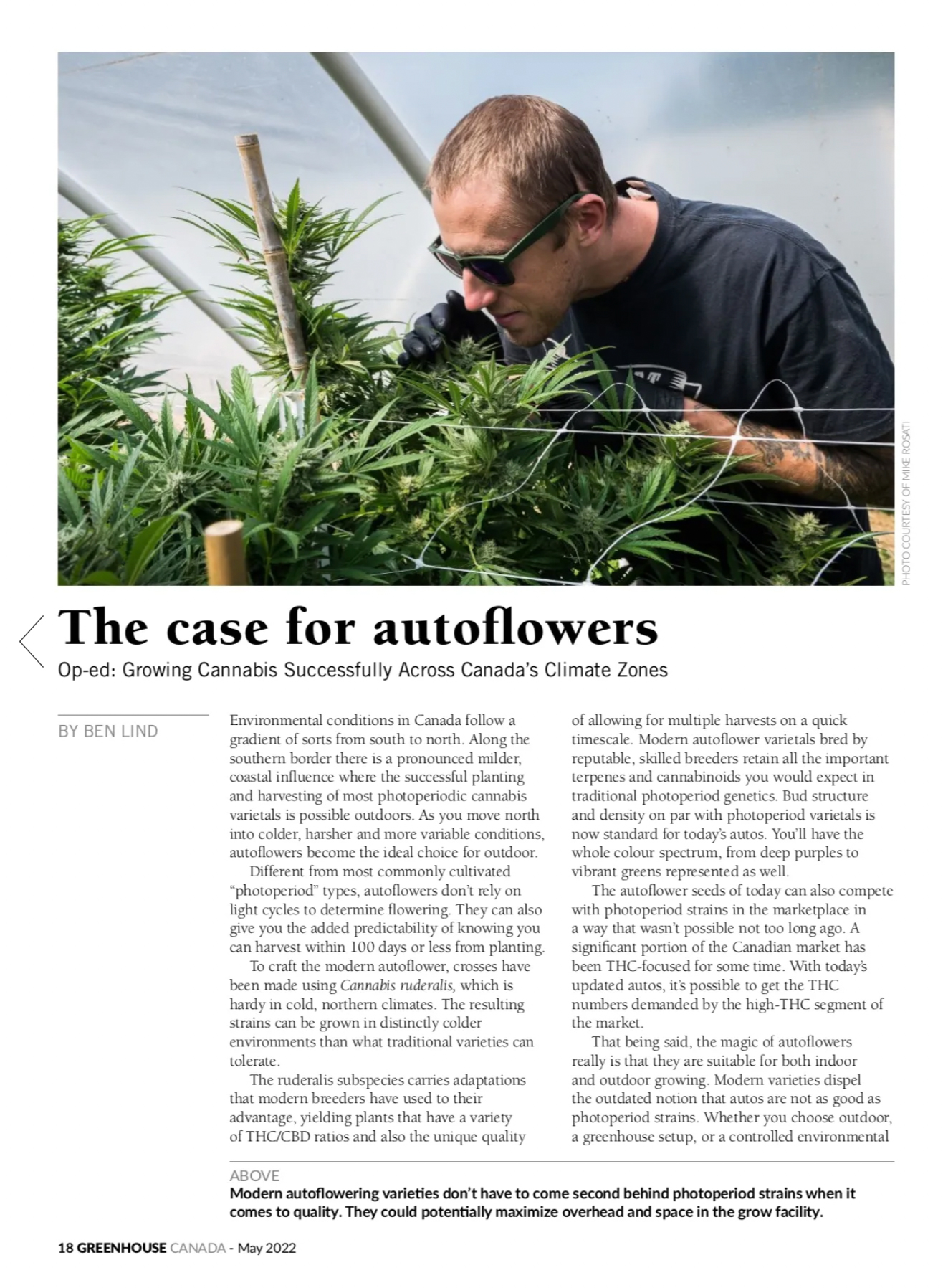 Greenhouse Canada Feature Ben Lind smelling cannabis plants