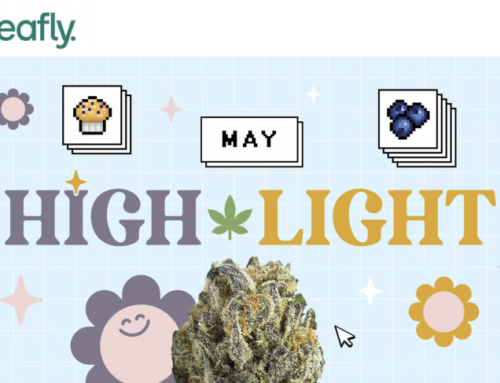 May’s Leafly Highlight is Blueberry Muffin fresh out the oven – Leafly