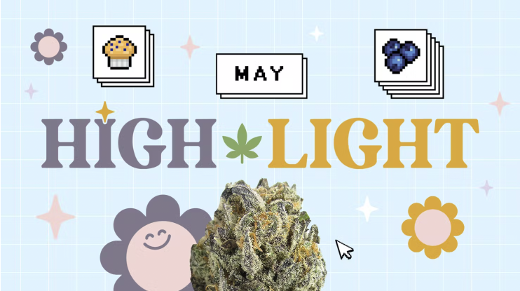 highlight logo may muffin blueberry cannabis nug
