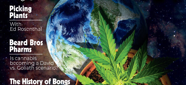 Skunk Magazine - Poddy Mouth Cannabisblüten