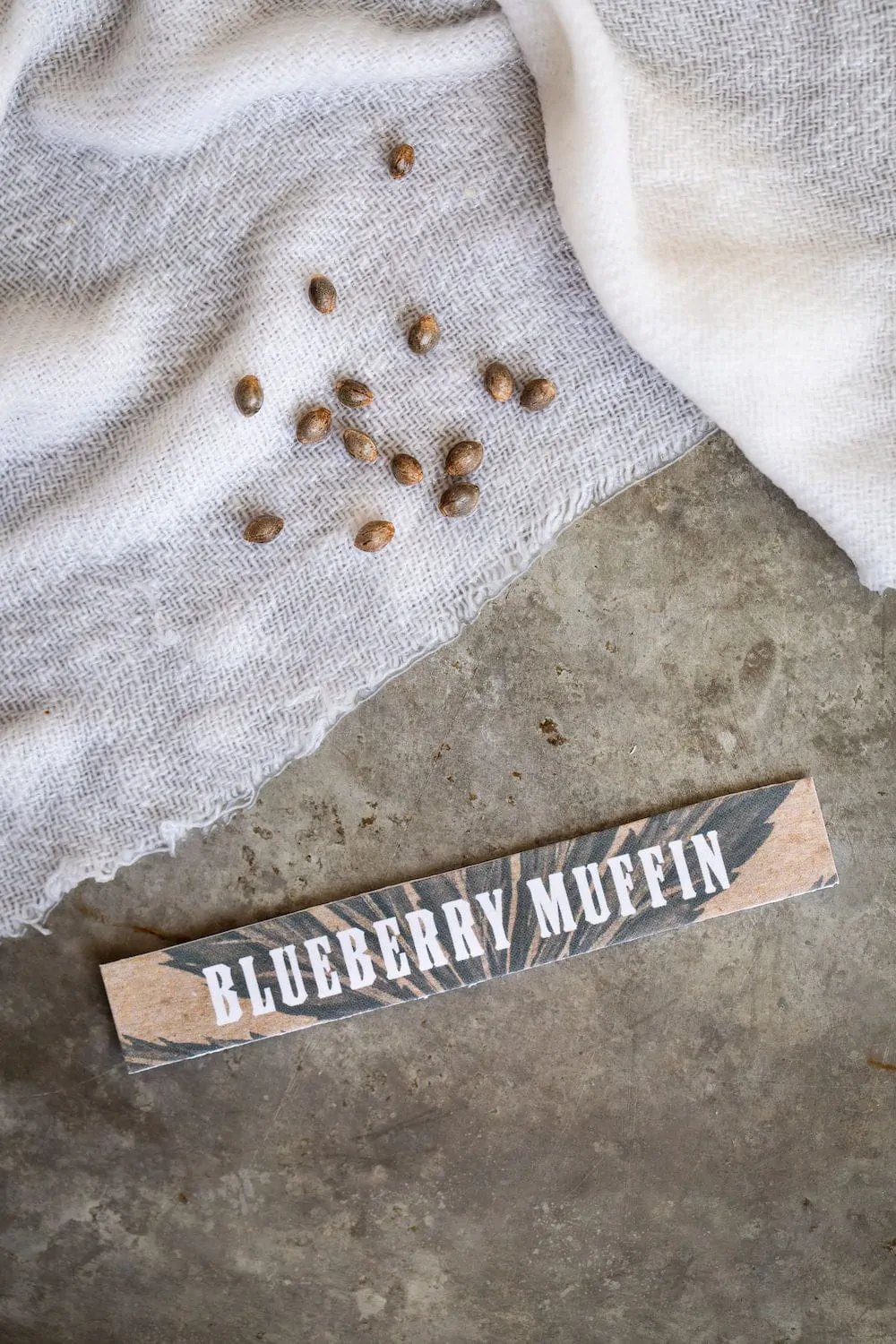 blueberry muffin strain logo with cannabis seeds on white towel