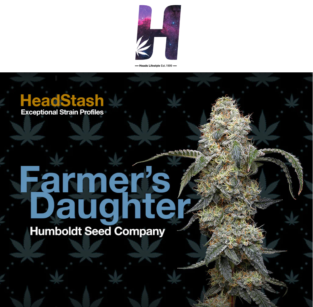 Headstash Farmer's Daughter cannabis flower