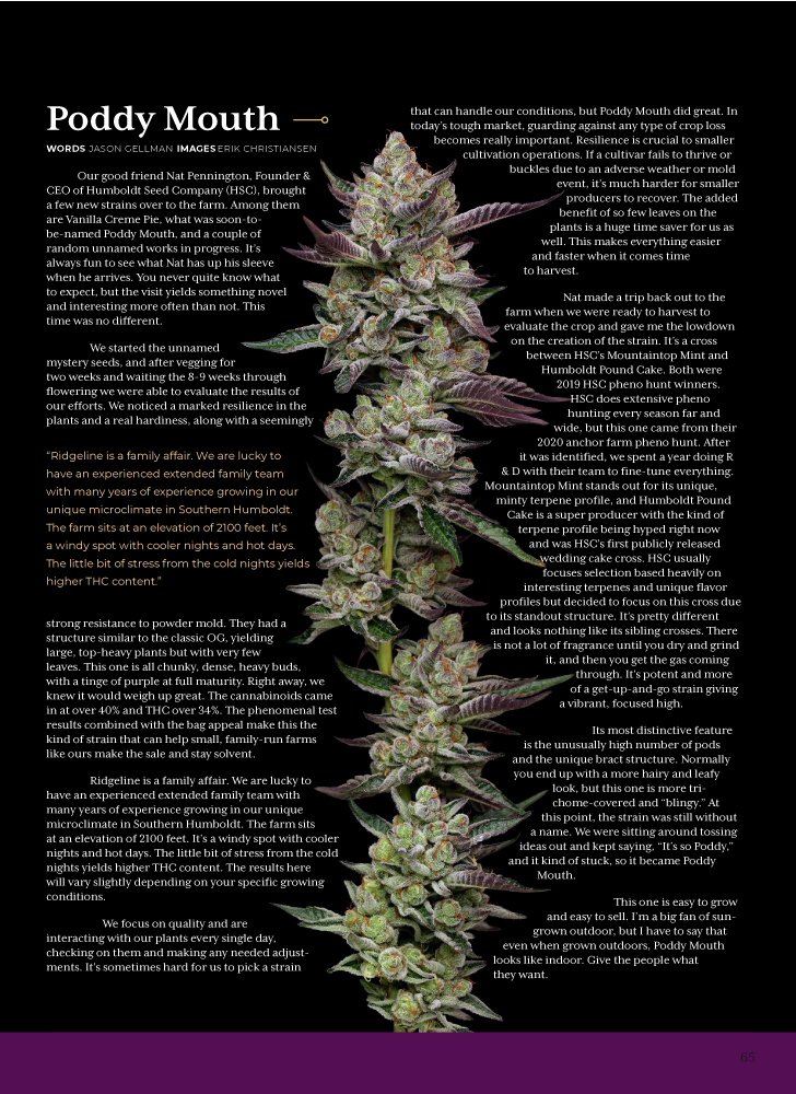 Skunk Magazine - Poddy Mouth cannabis flower Feature