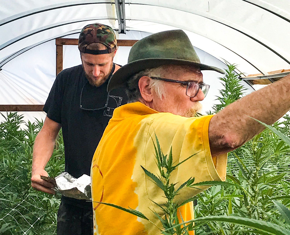 Ben Lind and grower in cannabis greenhouse