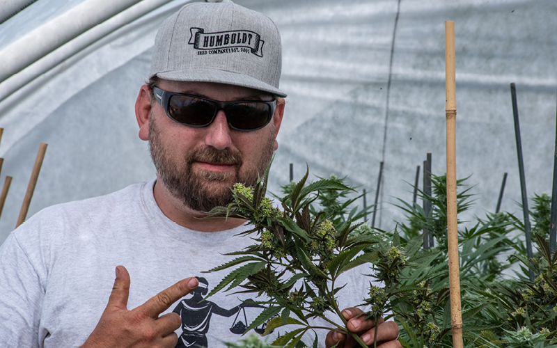 Nathaniel Pennington, Humboldt Seed Co. Founder + CEO smelling cannabis plant