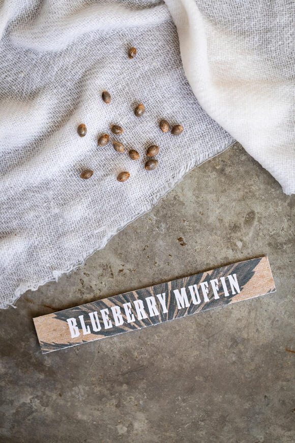 blueberry muffin logo with cannabis seeds on white towel