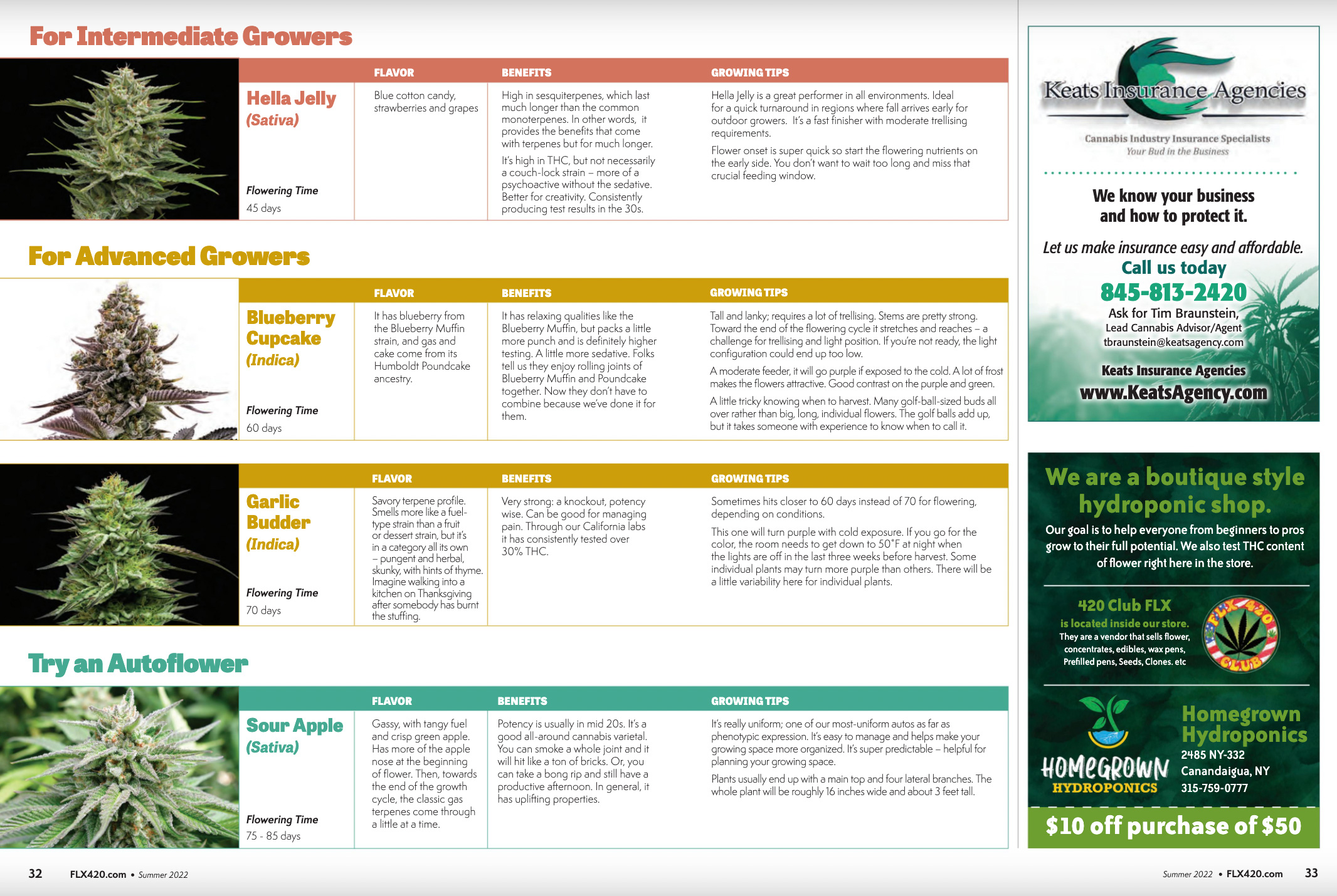 tabela de variedades de canábis para cultivadores