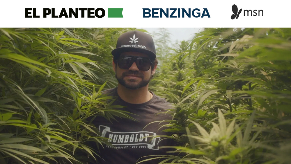 man in humboldt seed company shirt standing in cannabis plants