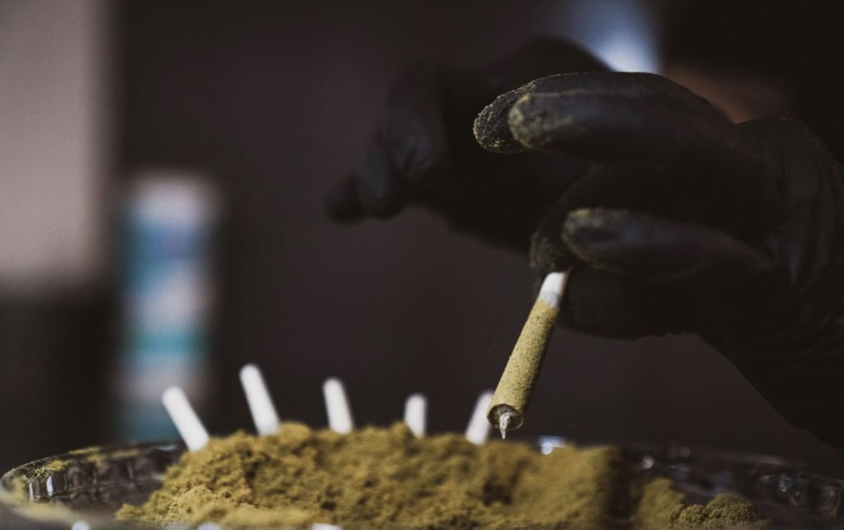 black gloved hand reaching for Prerolls in kief bowl