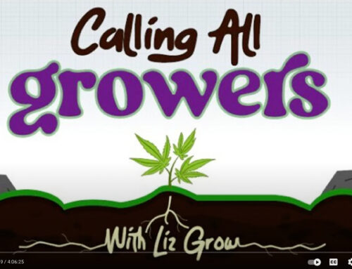 Calling All Growers with Liz Grow!