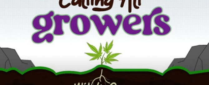 oproep aan alle kwekers met liz grow cannabis bladeren