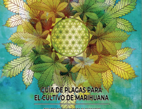 Cannabis Magazine Spain – Humboldt Seed Company Feature