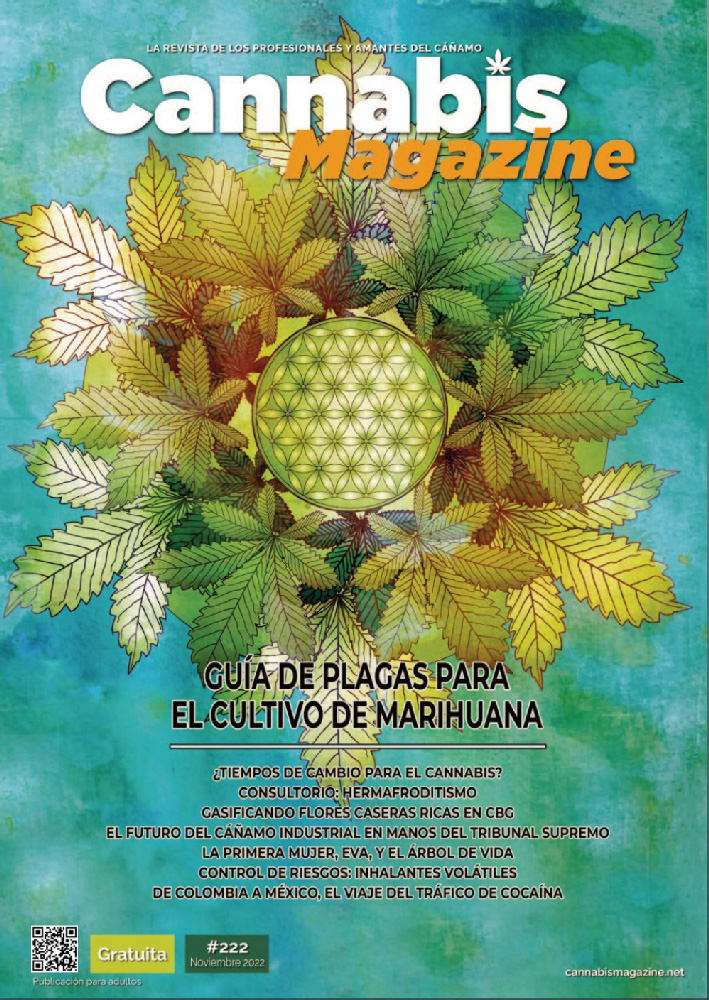 Cannabis magazine feature in Spain