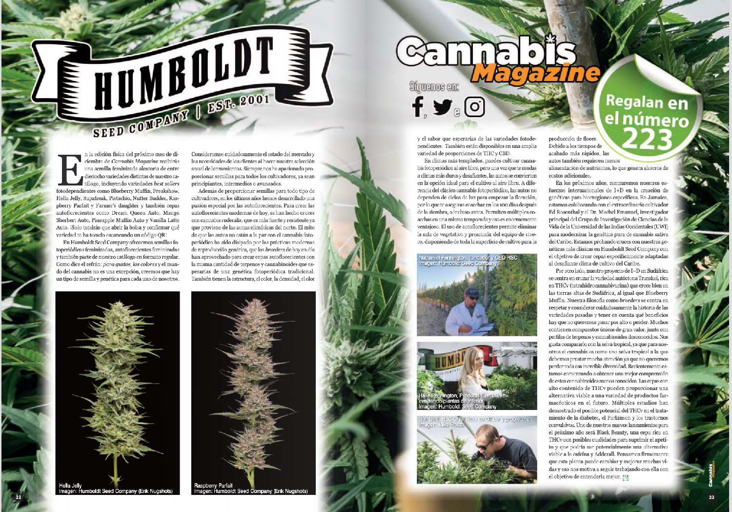 Cannabis magazine feature in Spain - Flower Photos