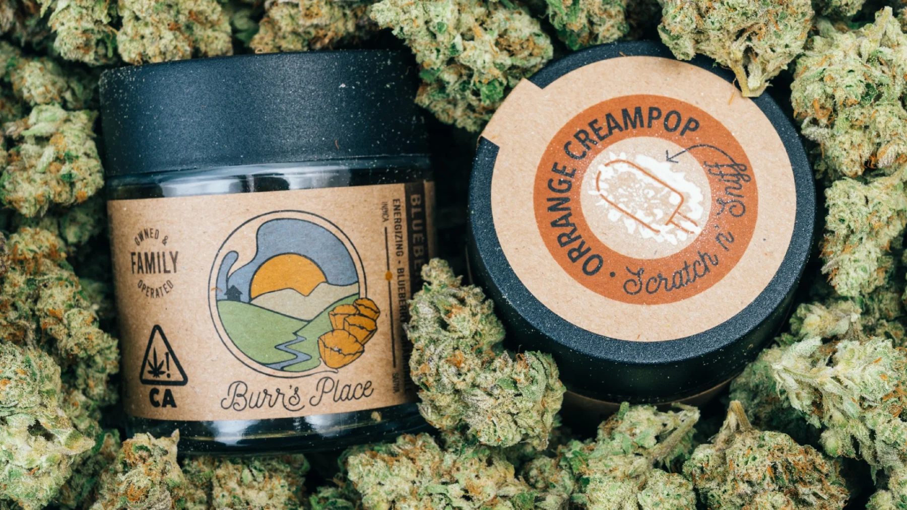 orange creampop scratch n sniff cannabis packaging in cannabis nugs