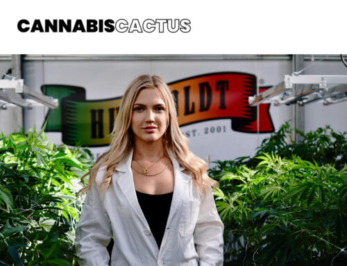The Next Generation of Cannabis Tastemakers