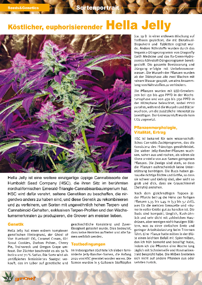 Hella Jelly Cannabis Strain Feature in Grow Magazine Germany