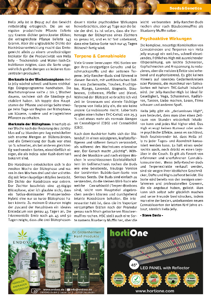 Hella Jelly Cannabis Strain Feature in Grow Magazine Germany