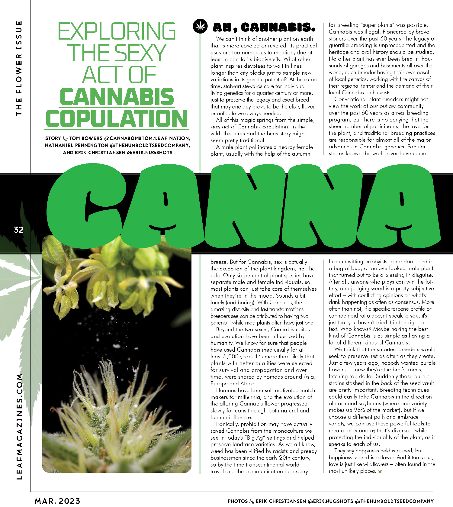 Exploring the Sexy Act of Cannabis Copulation - California Leaf Magazine