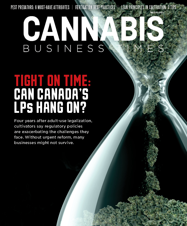 cannabis flower ground in hour glass