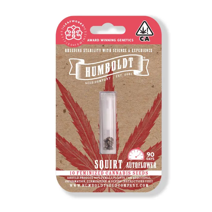 Squirt Autoflower New Cannabis Strain