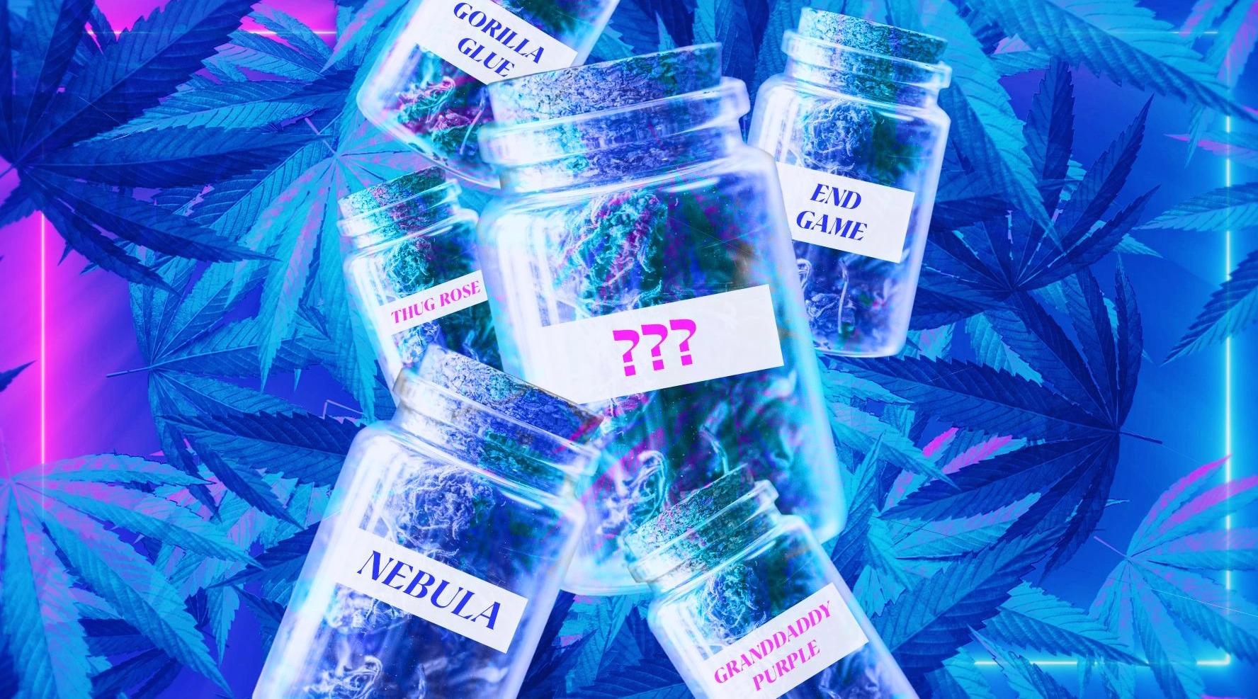 How Weed Strains Get Their (Amusing, Provocative, Downright Wacky) Names Durban Poison? Grandaddy Purple? Meat Breath? We go deep into the cannabis industry to find out how weed names are created—and how you know if this bud’s for you.