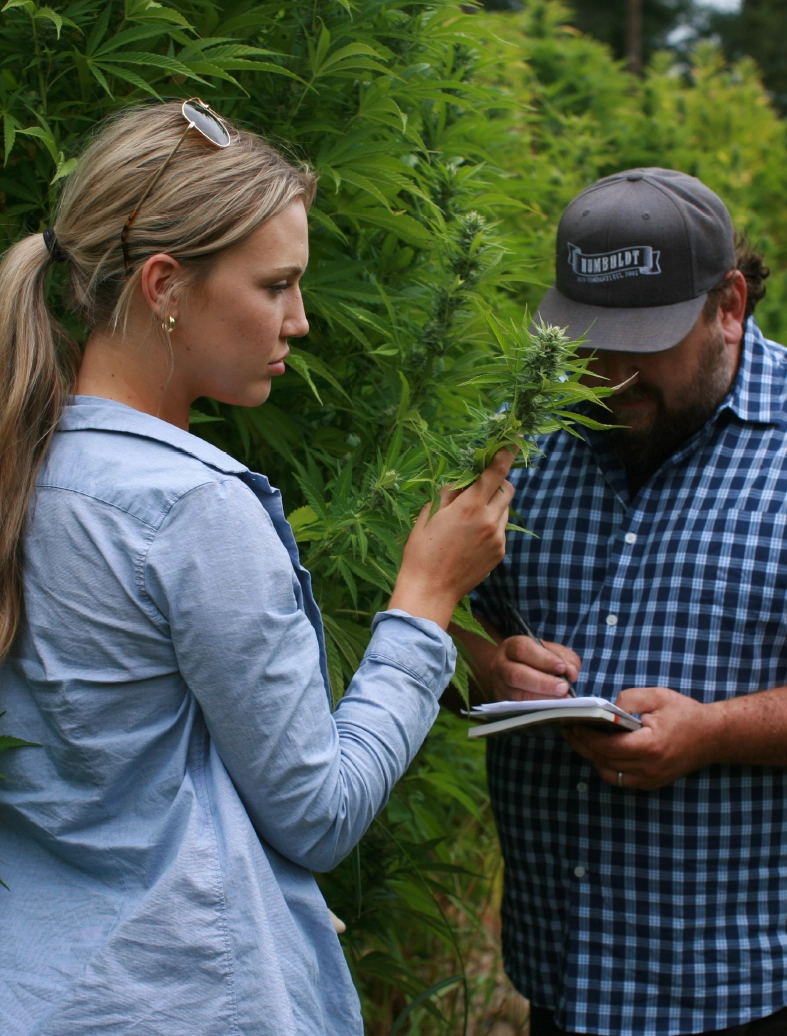 Nat en Halle Pennington kijken naar cannabisplanten - Humboldt Seed Company