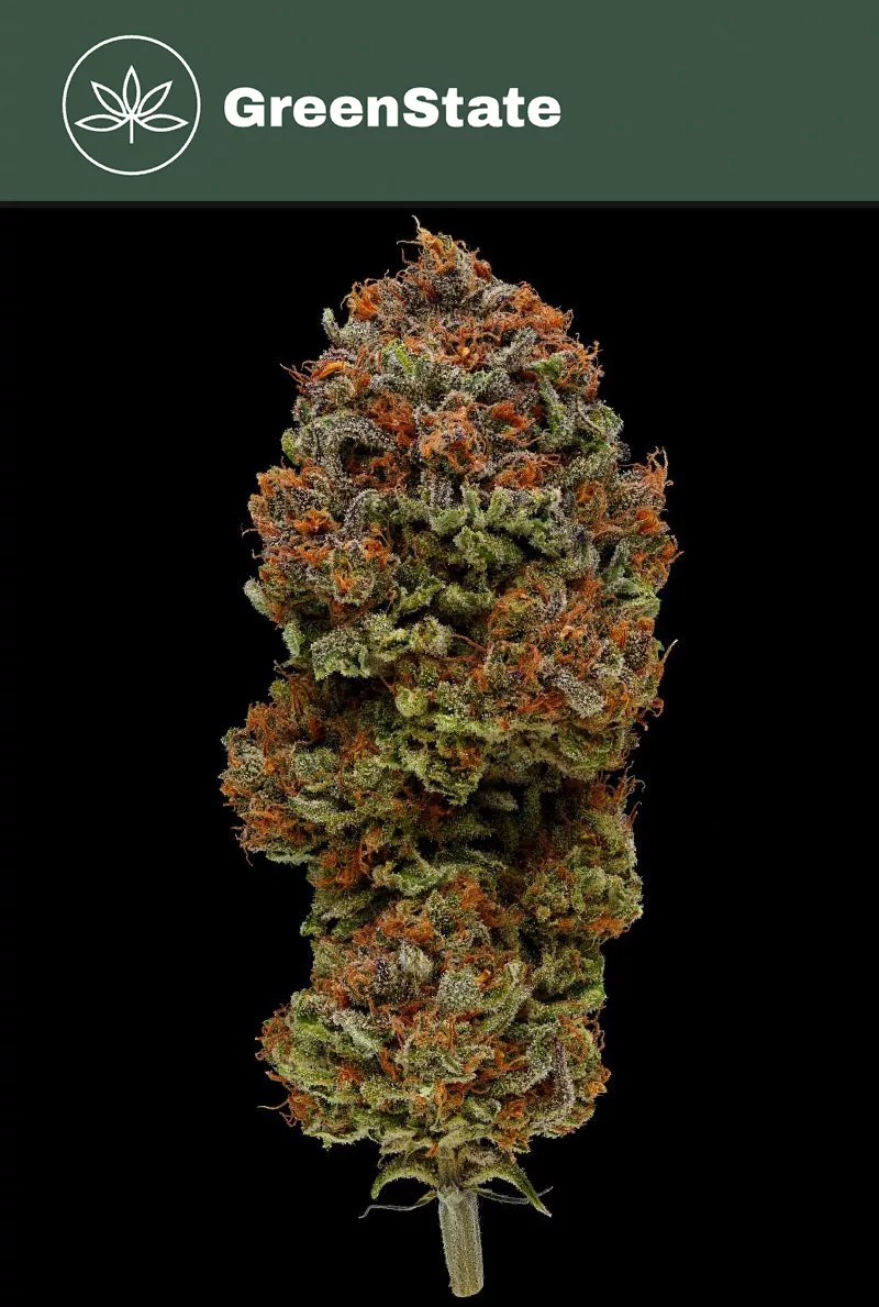 Blueberry muffin cannabis nug