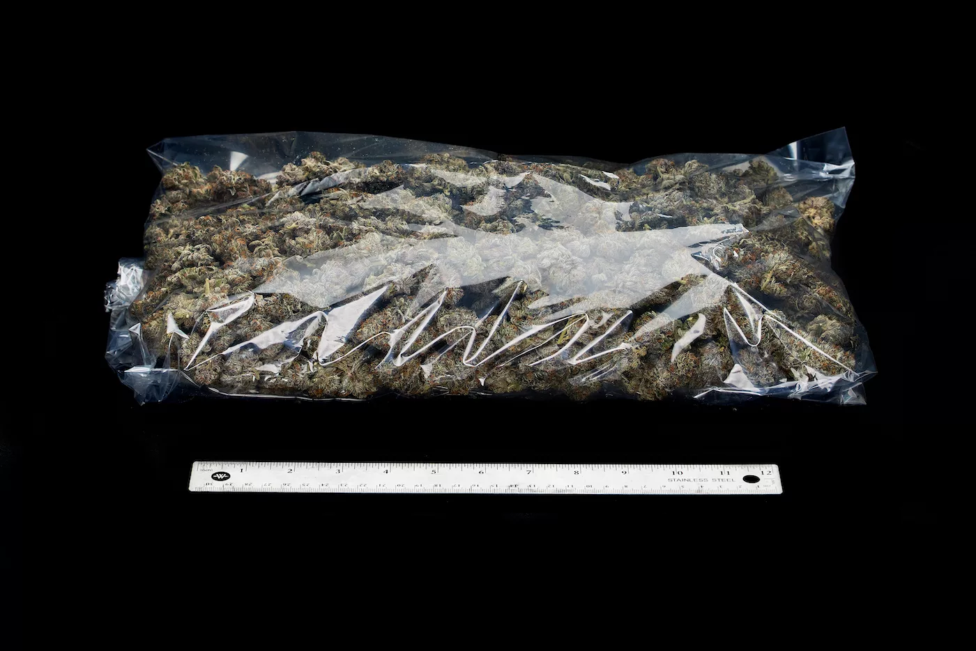 1 lb of cannabis in a bag