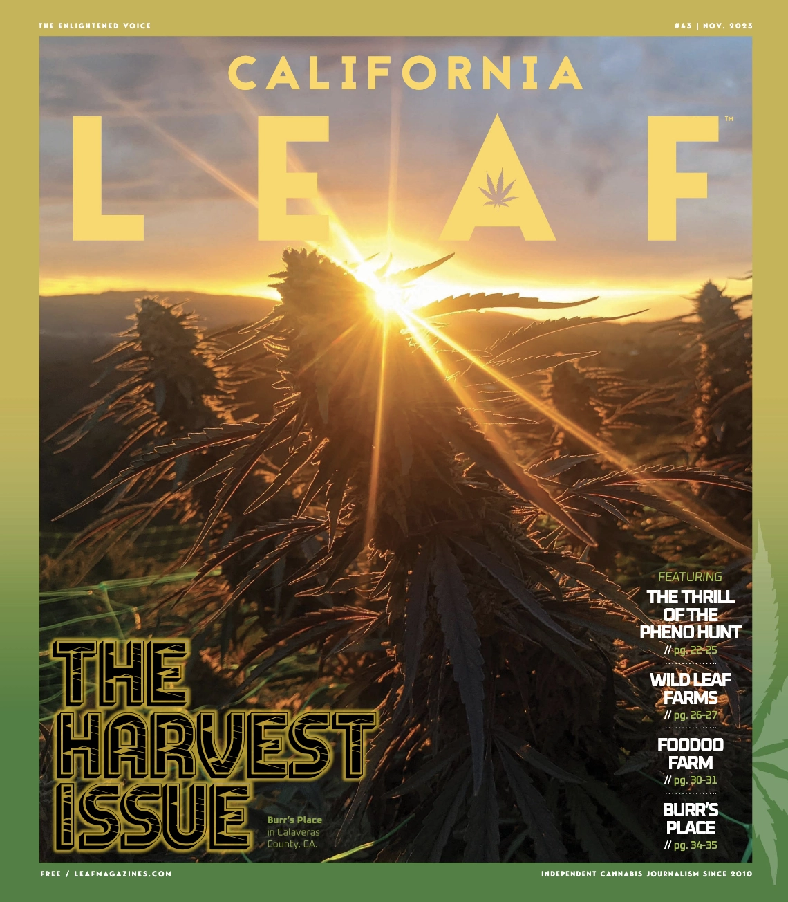 Leaf Magazine Pheno Hunt Article