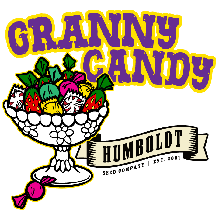 Granny Candy Cannabis Strain