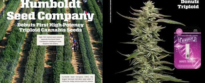 Humboldt Seed Company Triploid Article