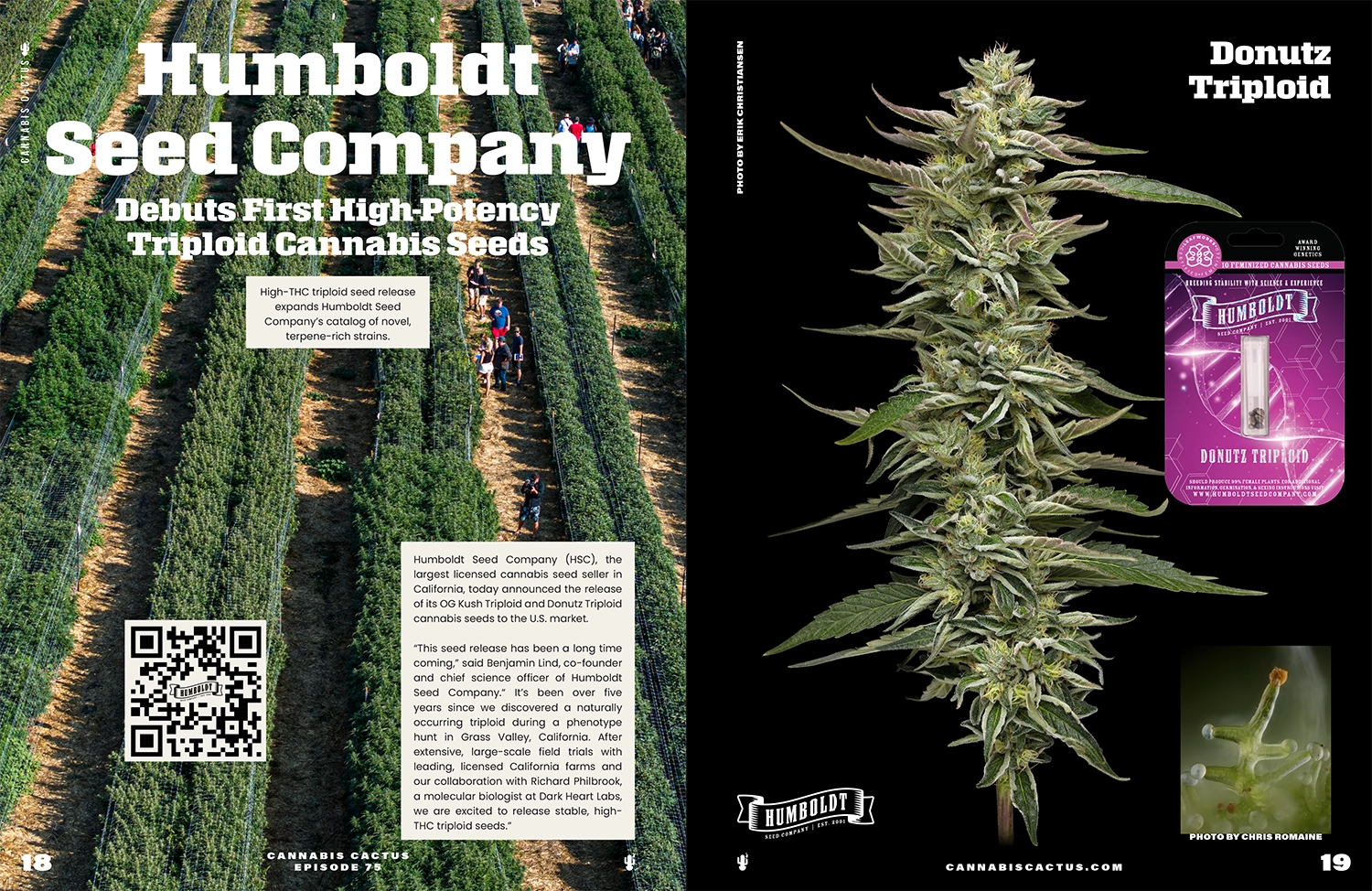 Humboldt Seed Company Triploid Article