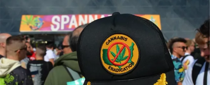 Spannabis Cannabis Culture Forbes Feature
