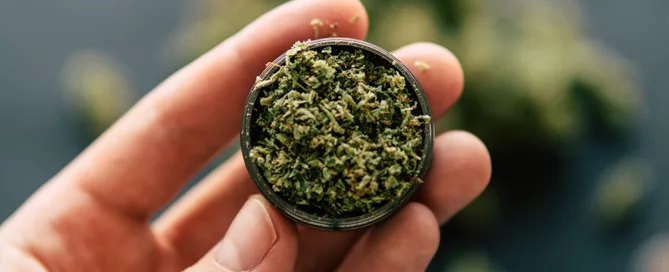 grinding weed weed grinding how to grind weed without a grinder weed in a grinder how to grind weed