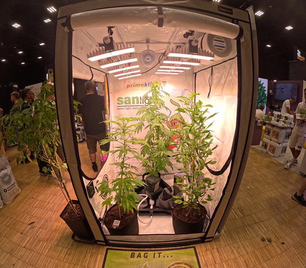 Cannabis at Cannafair 2024 Event Photo