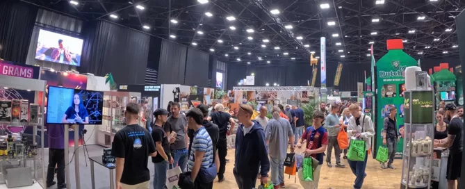 Exploring the Future of Cannabis at Cannafair