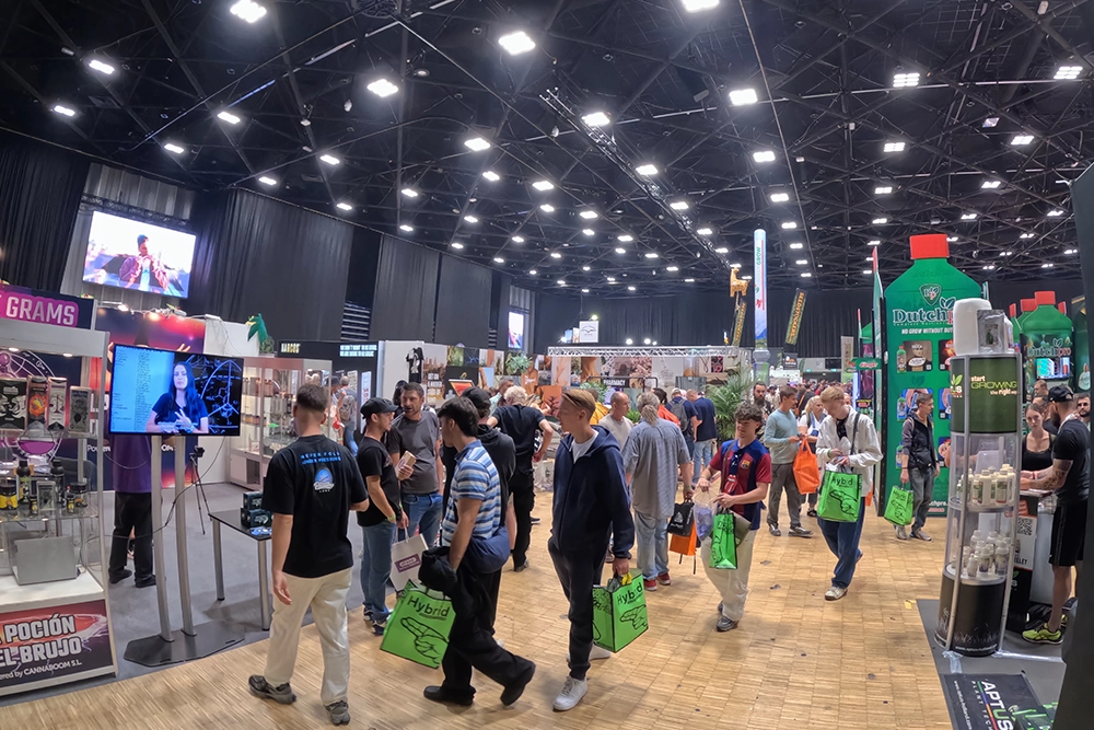 Explorar el futuro del cannabis en Cannafair