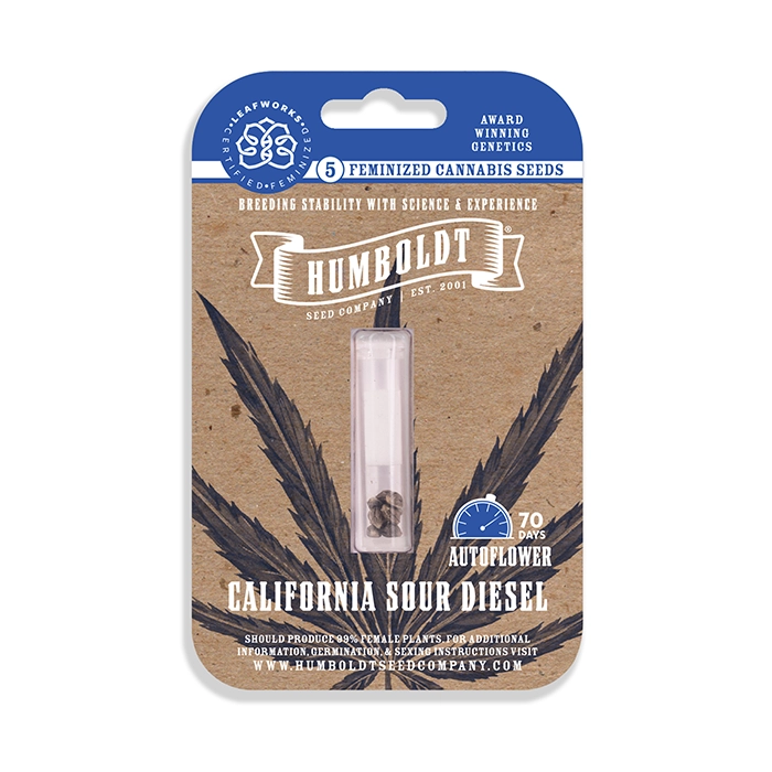 California Sour Diesel Autoflower cannabis zaadverpakking te koop