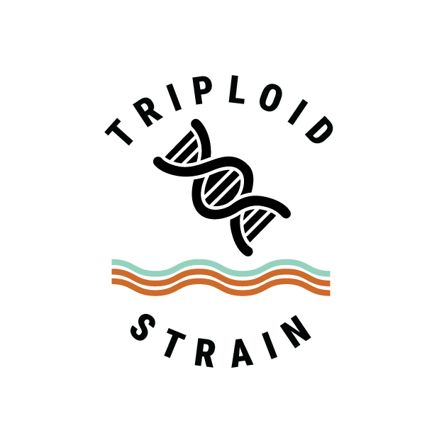 Triploid Cannabis Strain