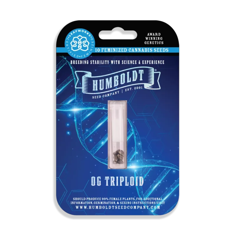 OG Triploid cannabis seed packaging for 10 feminized cannabis seeds