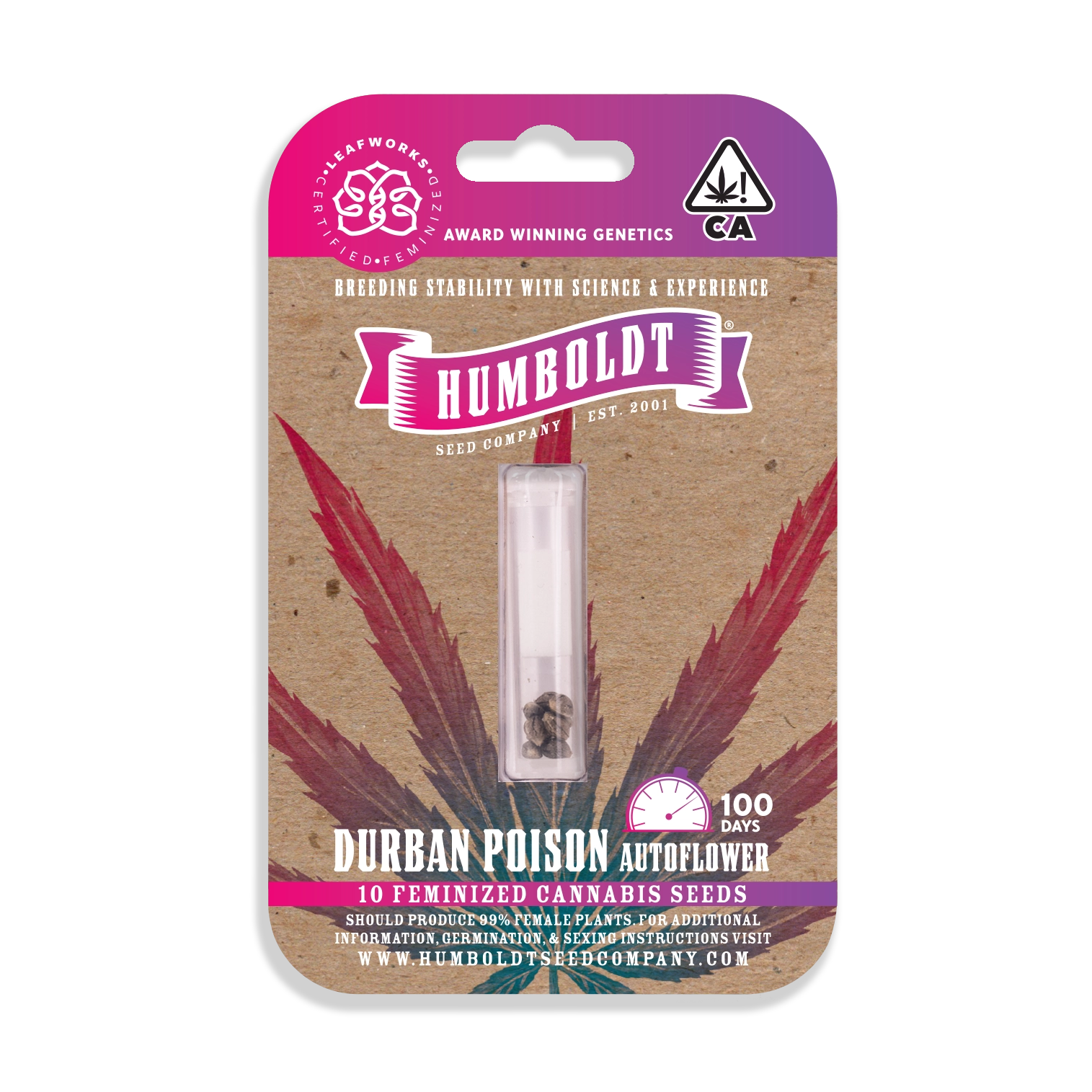 Durban Poison cannabis seed pack for sale